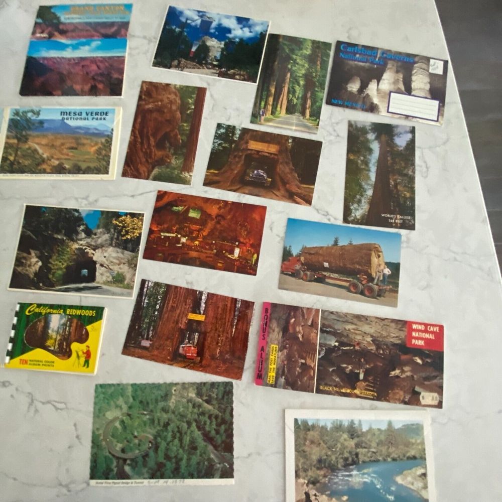 Vintage US Mail Postcard Collection and American Brochures - Lot of 16
